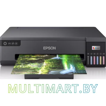 Фотопринтер Epson EcoTank L18050 (C11CK38503)